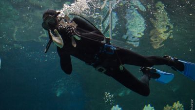 Θεοφάνεια στο Ενυδρείο Κρήτης-CRETAquarium