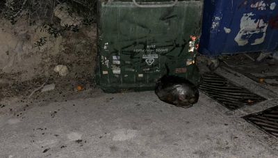 Ηράκλειο: Μάζεψαν τα σκουπίδια, αλλά ο χώρος παραμένει εστία.... μόλυνσης (Φωτο)