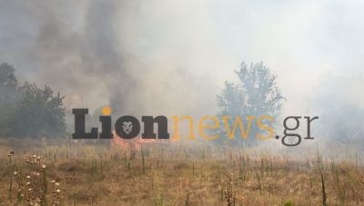 Φωτιά τώρα στην Οινούσσα Σερρών, 112 για εκκένωση του οικισμού