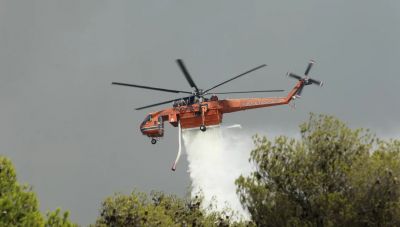 Καταδικάστηκε ο 70χρονος για τη φωτιά στο Καλοχώρι Θεσσαλονίκης -«Άναψα ένα χαρτί για να διώξω τις σφήκες από το κοτέτσι»