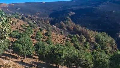 Φωτιά στο Μελιδοχώρι: «Μάχη» με τις διάσπαρτες εστίες και τους ισχυρούς ανέμους