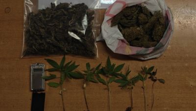Λασίθι: Συνελήφθη 31χρονος για κατοχή δενδρυλλίων κάνναβης