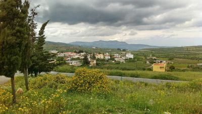 Η ανάπτυξη της 