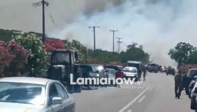 Φθιώτιδα: Συνελήφθη 43χρονος για τη μεγάλη φωτιά στο Καλαπόδι -Προκλήθηκε από θεριζοαλωνιστική μηχανή