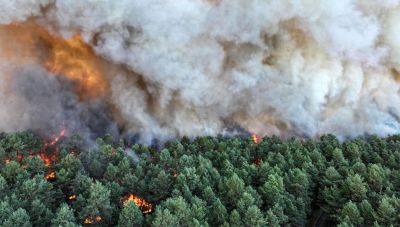Ρεκόρ καμένων εκτάσεων μέχρι τα μέσα Ιουλίου στη Γαλλία