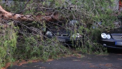 Κακοκαιρία: Συνολικά 940 κλήσεις δέχτηκε η Πυροσβεστική