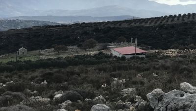 Μάστιγα για όλα τα χωριά της περιοχής είχαν γίνει οι συλληφθέντες στη σημερινή επιχείρηση της ΕΛΑΣ σε Αλάγνι και Χαράκι