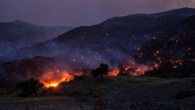 Ανυπολόγιστη η καταστροφή και υπόνοιες για εμπρησμό στο Ρέθυμνο-Μικροεστίες στο φοινικόδασος Πρέβελη (Φωτο + Βίντεο)