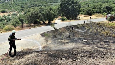 Φωτιά ξανά στην Πάρο - Σπεύδουν δυνάμεις
