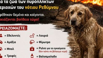 Οργανώνουν επιχείρηση για βοήθεια στα ζώα των πυρόπληκτων περιοχών του νότιου Ρεθύμνου