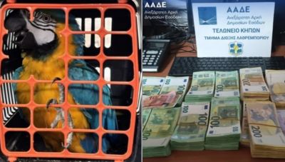 Από ναρκωτικά μέχρι...παπαγάλους -Τι εντόπισαν οι έλεγχοι της ΑΑΔΕ μέσα σε έξι μήνες
