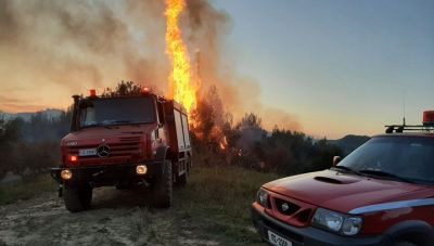 Άμεση επέμβαση της Πυροσβεστικής στη Βιάννο: Οριοθετήθηκε σε 40 λεπτά η φωτιά στο Αφρατί
