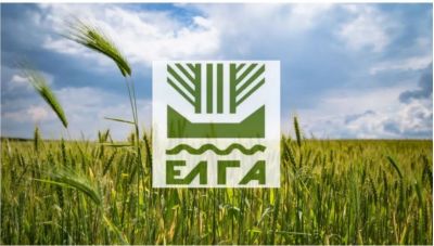 ΕΛΓΑ: Αποζημιώσεις ύψους 13,8 εκ. ευρώ σε 9.634 ασφαλιζόμενους παραγωγούς για ζημίες του 2025