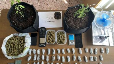 Λασίθι: Συνελήφθησαν δυο νεαροί για κατοχή κάνναβης και δενδρυλλίων