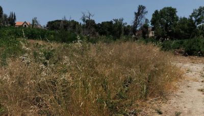 Ακαθάριστα οικόπεδα: Λήγει τη Δευτέρα η προθεσμία για τις δηλώσεις - Πότε ξεκινούν τα πρόστιμα
