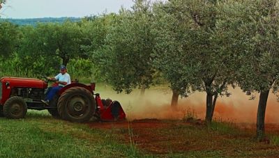 ΟΠΕΚΕΠΕ: Ένοχοι 57 παραγωγοί από την Κρήτη για παράνομες επιδοτήσεις