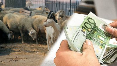 Σήμερα τα νεότερα για πληρωμές 900εκ.€ σε αγρότες και κτηνοτρόφους