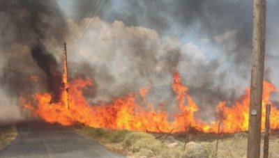 Χανιά: Σύλληψη ενός 63χρονου για εμπρησμό από αμέλεια - Έκαιγε κλαδιά και του ξέφυγε η φωτιά!