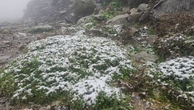 Έριξε φρέσκο χιόνι στον Ψηλορείτη πάνω από τα 1400 μέτρα