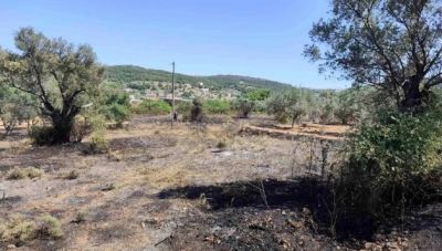 Αίγινα: Συνελήφθη 62χρονη που προκάλεσε πυρκαγιά μετά από καύση απορριμμάτων
