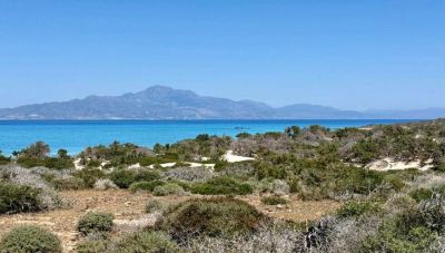 Αυτοψία της Αποκεντρωμένης Διοίκησης Κρήτης στη Χρυσή