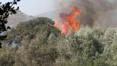Μ. Συντυχάκης: «Εμπλοκή» στην κρατική μηχανή για τις αποζημιώσεις των αγροτών στο Δήμο Αγίου Βασιλείου
