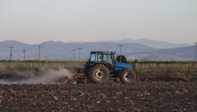 ΑΑΔΕ: Τι θα λάβουν οι αγρότες και οι παραγωγοί έως τον Ιούνιο του 2026