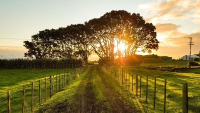 Η Συμφωνία Ελευθέρων Συναλλαγών ΕΕ - Αυστραλίας νέα ταφόπλακα για τους αγρότες