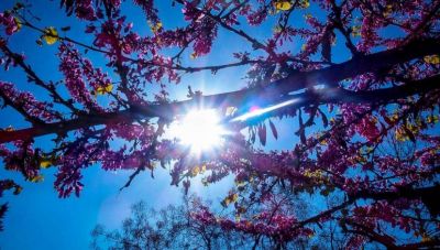 Ανοιξιάτικο το σκηνικό του καιρού με λίγες τοπικές βροχές-Ενισχύονται οι βοριάδες το Σαββατοκύριακο