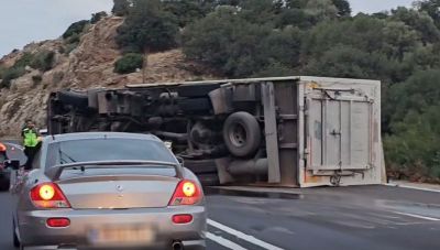 Τροχαίο στον ΒΟΑΚ: Ανατράπηκε φορτηγό που μετέφερε ζώα (βίντεο)