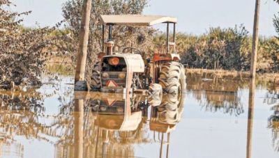 ΑΑΔΕ: Από 30/9 η υποβολή αιτημάτων για παρεμβάσεις προστασίας της αγροτικής παραγωγής