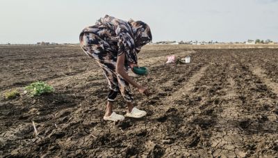 Τι είναι το Ελ Νίνιο και πόσο μπορεί να επηρεάσει τον χειμώνα στην Ελλάδα- Η ανάλυση του Γιώργου Τσατραφύλλια