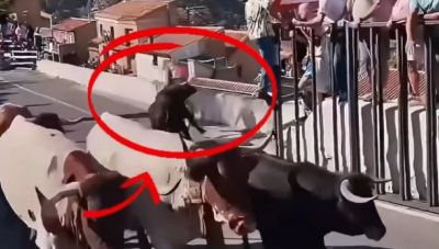 Ταύρος σκότωσε 64χρονη σε φεστιβάλ στην Ισπανία