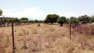 Ακαθάριστα οικόπεδα: Περίπου 2 εκατ. ιδιοκτήτες «τρέχουν» να προλάβουν την προθεσμία