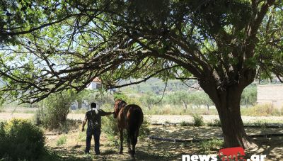 Κώστας Σιδεράκης: Ένας Ηρακλειώτης αγρότης που κάνει τη διαφορά (ΦΩΤΟΓΡΑΦΙΕΣ)