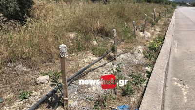 Ηράκλειο: Ο δρόμος που δεν θέλει να γίνει πράσινος-Στο κενό και η δεύτερη προσπάθεια δεντροφύτευσης (ΦΩΤΟ)