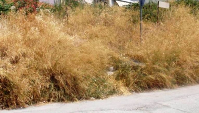 Ηράκλειο: Ξεκίνησε ο έλεγχος και τα πρόστιμα για ακαθάριστα οικόπεδα-40 καταγγελίες μέχρι σήμερα