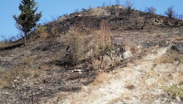 Σε ύφεση η πυρκαγιά σε αγροτοδασική περιοχή της Αγίας Βαρβάρας στη Γόρτυνα