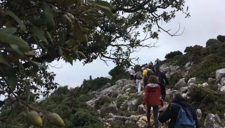 Πεζοπορία στο Αζιλακόδασος Λασιθίου