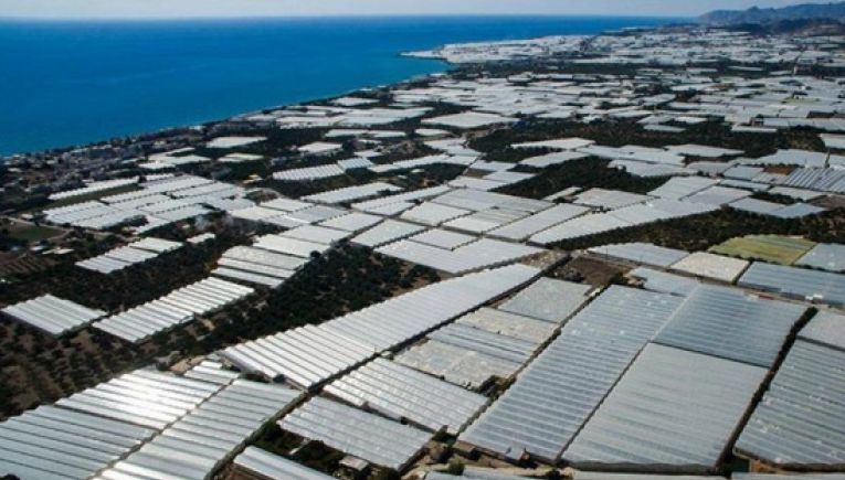Ενιαίος Αγροτικός Σύλλογος Ιεράπετρας για το Τοπικό Πολεοδομικό Σχέδιο του Δήμου Ιεράπετρας