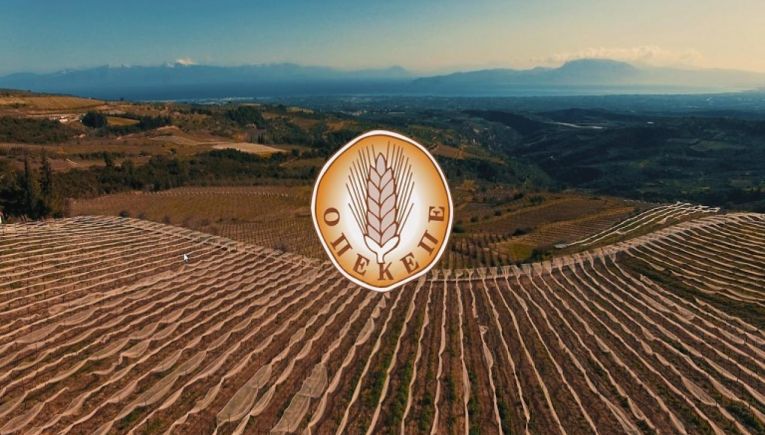 ΟΠΕΚΕΠΕ: Έως 31/5 η καταχώριση ποσοτήτων για τις συνδεδεμένες ενισχύσεις