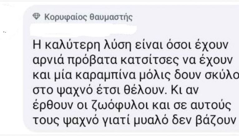 Ηράκλειο: Αντιδράσεις για το σχόλιο ιερέα που προέτρεψε να ρίχνουν στο ψαχνό σε αδέσποτα και φιλόζωους