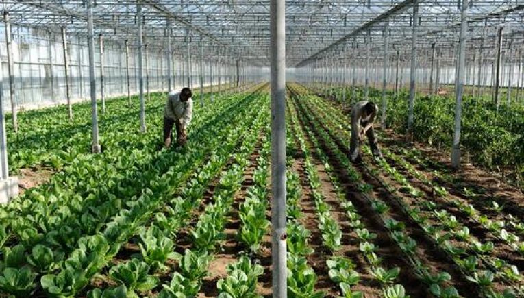 Εργάτες γης: Στον Γεραπετρίτη οι αγρότες της Ιεράπετρας για τις δυσκολίες στη μετακίνηση πολιτών τρίτων χωρών