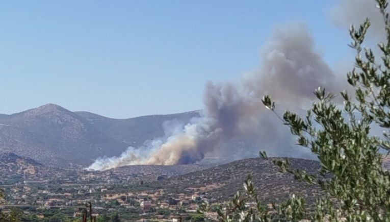 Υπό πλήρη έλεγχο η φωτιά στο Κορωπί