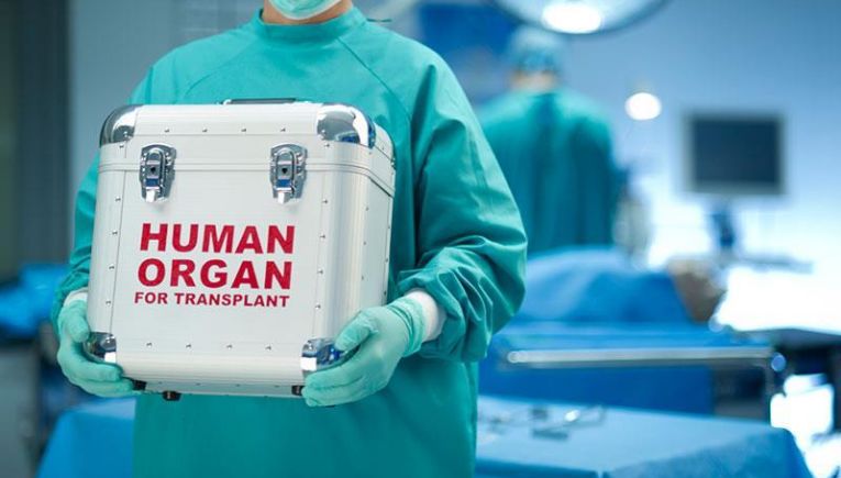 Παπαθεοδωρίδης στο newshub. gr: «Η δωρεά οργάνων είναι μια νέα καθημερινότητα ελπίδας» - Χρονιά ρεκόρ για τις μεταμοσχεύσεις