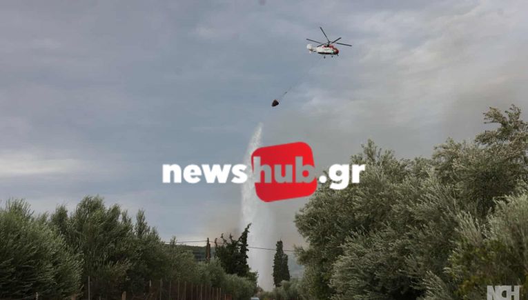 Ηράκλειο - Φωτιά στις Μαλάδες: Οριοθετήθηκε η κατάσταση - Η πυροσβεστική παραμένει σε επιφυλακή (φωτο + βίντεο)