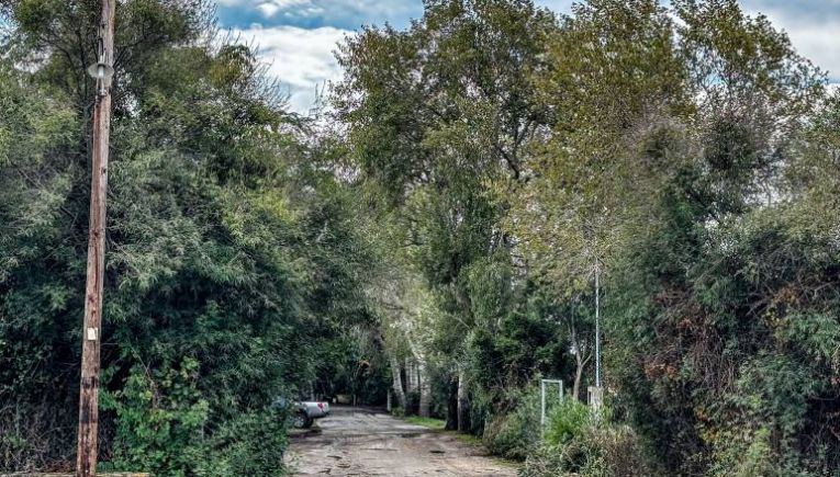 Κοντά σε απαντήσεις για το μυστήριο της Φοινικούντας: Νέα πρόσωπα στο «κάδρο», «μιλούν» τα κινητά