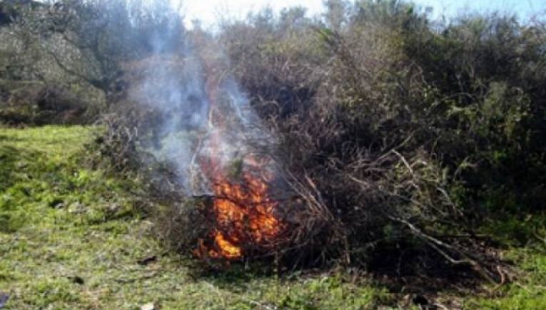 Ρέθυμνο: Καμπάνα ο για το κάψιμο κλαδιών σε δασική περιοχή